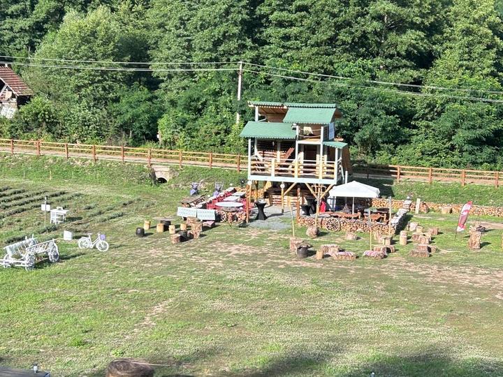 The open grounds, seating stumps and the cabin seen from above